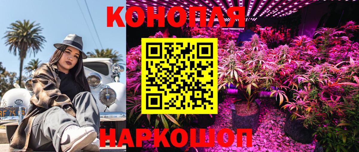 Каннабис AK-47  Вход с VPN  МАРИХУАНА ГИДРОПОН  Новороссийск  Бошки Шишки LSD WEED 